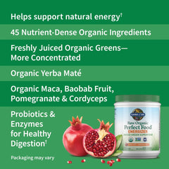 Raw Organic Perfect Food Energizer Yerba Mate Pomegranate 9.73oz (276g) Powder